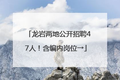 龙岩两地公开招聘47人！含编内岗位→