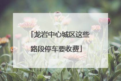 龙岩中心城区这些路段停车要收费
