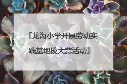 龙海小学开展劳动实践基地拔大蒜活动