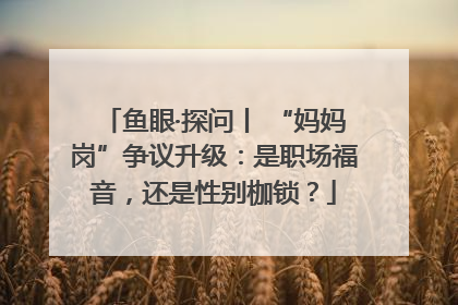 鱼眼·探问丨 “妈妈岗”争议升级：是职场福音，还是性别枷锁？