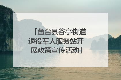 鱼台县谷亭街道退役军人服务站开展政策宣传活动