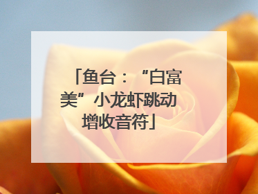 鱼台：“白富美”小龙虾跳动增收音符
