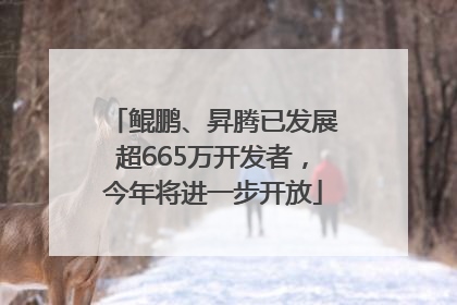 鲲鹏、昇腾已发展超665万开发者，今年将进一步开放