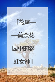 鸢尾——莫奈花园中的彩虹女神