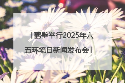 鹤壁举行2025年六五环境日新闻发布会