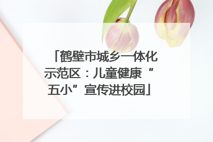 鹤壁市城乡一体化示范区：儿童健康“五小”宣传进校园