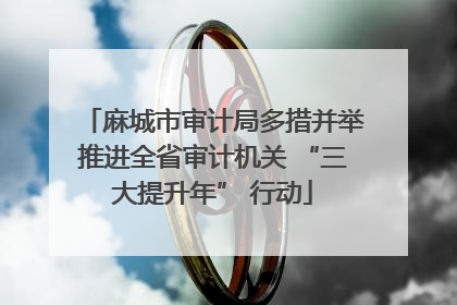 麻城市审计局多措并举推进全省审计机关 “三大提升年” 行动
