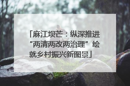 麻江坝芒：纵深推进“两清两改两治理”绘就乡村振兴新图景