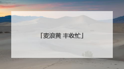 麦浪黄 丰收忙