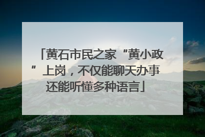 黄石市民之家“黄小政”上岗，不仅能聊天办事还能听懂多种语言