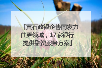 黄石政银企协同发力住更领域，17家银行提供融资服务方案