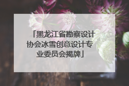 黑龙江省勘察设计协会冰雪创意设计专业委员会揭牌
