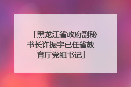 黑龙江省政府副秘书长许振宇已任省教育厅党组书记