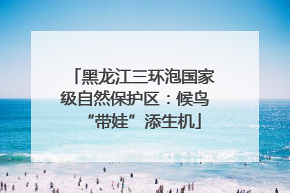 黑龙江三环泡国家级自然保护区：候鸟“带娃”添生机