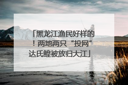 黑龙江渔民好样的！两地两只“投网”达氏鳇被放归大江