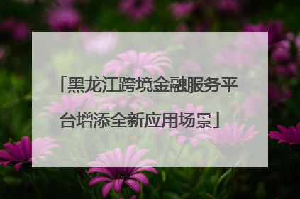 黑龙江跨境金融服务平台增添全新应用场景