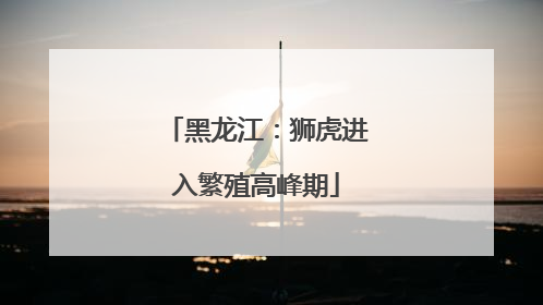 黑龙江：狮虎进入繁殖高峰期