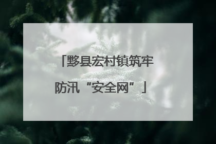 黟县宏村镇筑牢防汛“安全网”