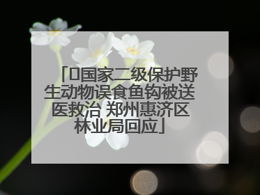 ﻿国家二级保护野生动物误食鱼钩被送医救治 郑州惠济区林业局回应