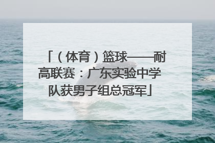 （体育）篮球——耐高联赛：广东实验中学队获男子组总冠军