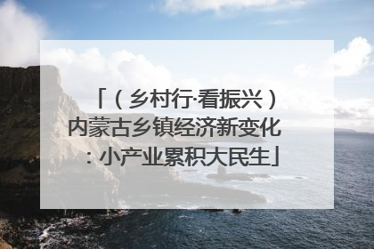 （乡村行·看振兴）内蒙古乡镇经济新变化：小产业累积大民生