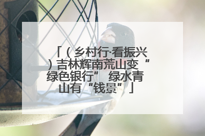 （乡村行·看振兴）吉林辉南荒山变“绿色银行” 绿水青山有“钱景”
