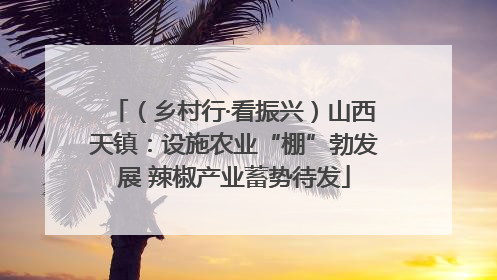 （乡村行·看振兴）山西天镇：设施农业“棚”勃发展 辣椒产业蓄势待发