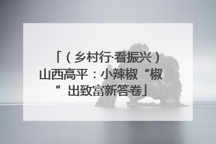 （乡村行·看振兴）山西高平：小辣椒“椒”出致富新答卷