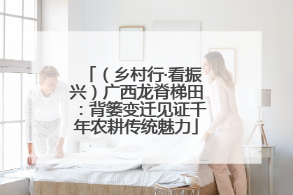 （乡村行·看振兴）广西龙脊梯田：背篓变迁见证千年农耕传统魅力