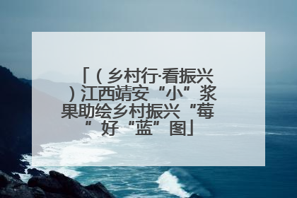 （乡村行·看振兴）江西靖安“小”浆果助绘乡村振兴“莓”好“蓝”图