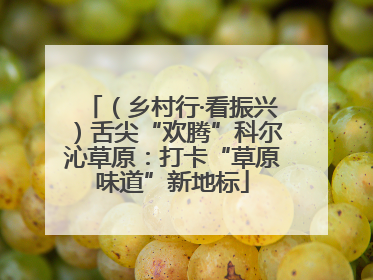 （乡村行·看振兴）舌尖“欢腾”科尔沁草原：打卡“草原味道”新地标