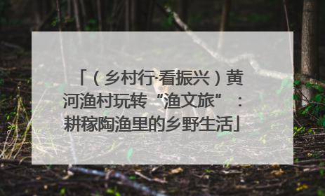 （乡村行·看振兴）黄河渔村玩转“渔文旅”：耕稼陶渔里的乡野生活