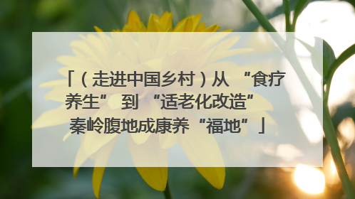 （走进中国乡村）从 “食疗养生” 到 “适老化改造” 秦岭腹地成康养“福地”