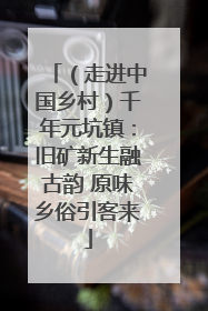 （走进中国乡村）千年元坑镇：旧矿新生融古韵 原味乡俗引客来