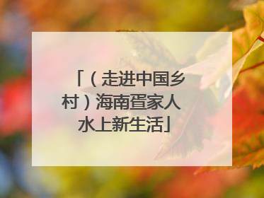 （走进中国乡村）海南疍家人 水上新生活