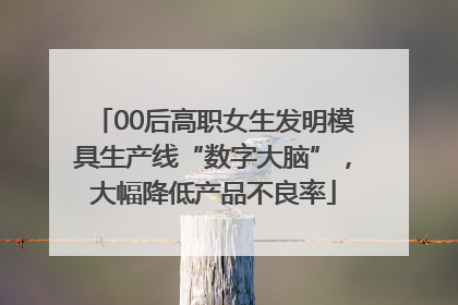 00后高职女生发明模具生产线“数字大脑”，大幅降低产品不良率