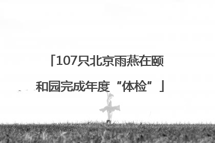 107只北京雨燕在颐和园完成年度“体检”