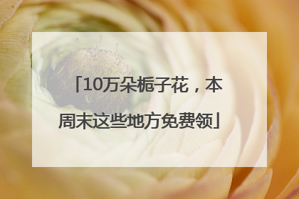 10万朵栀子花，本周末这些地方免费领