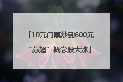 10元门票炒到600元 “苏超”概念股大涨