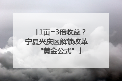 1亩=3倍收益？宁夏兴庆区解锁改革“黄金公式”
