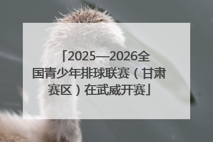 2025—2026全国青少年排球联赛（甘肃赛区）在武威开赛