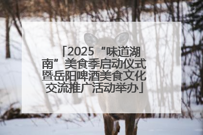2025“味道湖南”美食季启动仪式暨岳阳啤酒美食文化交流推广活动举办