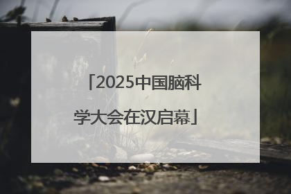 2025中国脑科学大会在汉启幕