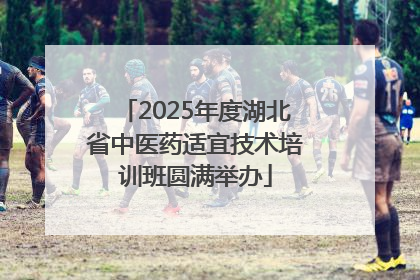 2025年度湖北省中医药适宜技术培训班圆满举办