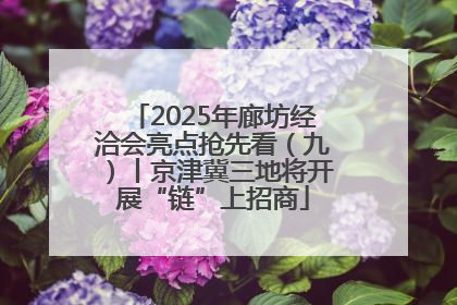 2025年廊坊经洽会亮点抢先看（九）丨京津冀三地将开展“链”上招商