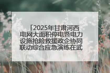 2025年甘肃河西电网大面积停电暨电力设施抢险救援政企协同联动综合应急演练在武威成功举行