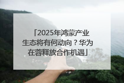 2025年鸿蒙产业生态将有何动向？华为在蓉释放合作机遇