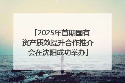 2025年首期国有资产质效提升合作推介会在沈阳成功举办