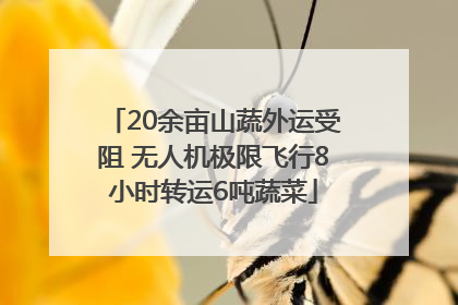 20余亩山蔬外运受阻 无人机极限飞行8小时转运6吨蔬菜