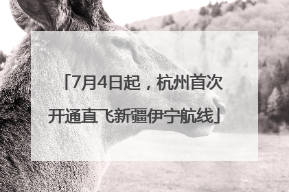 7月4日起，杭州首次开通直飞新疆伊宁航线